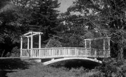Bridge Bridge