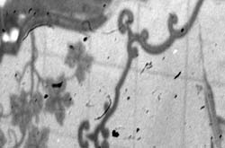 Film Dirt film dirt