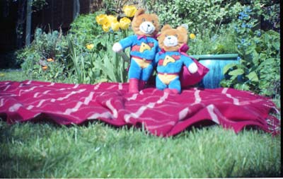 Super-Foxes Super-Foxes