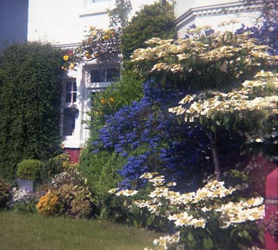 A Front Garden, Cardiff