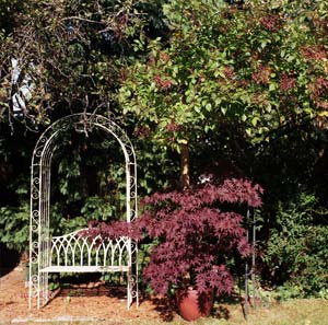 Arbour